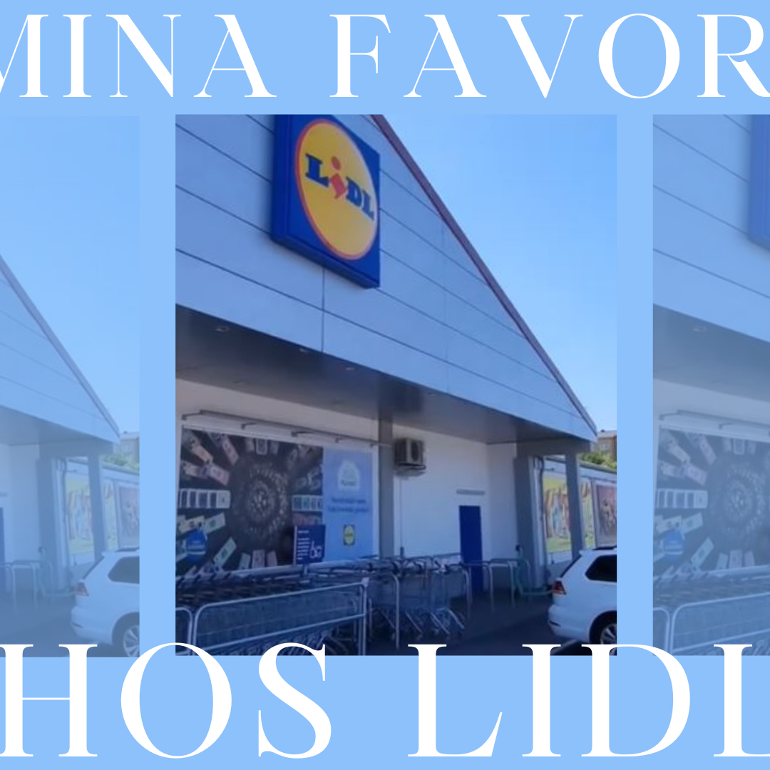 Mina 3 favoriter på Lidl Sverige 